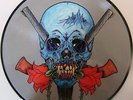 Metallica - Evil never dies Picture disc