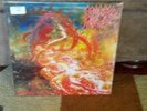 Morbid Angel 
