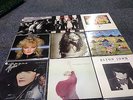 80s lps X40-POP ,ROCK,NEW AGE ,PUNK-ALL LISTED IN GREEN CASE