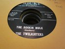 9M VG+ The Twilighters the rockin mule Ricki 907