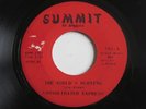 CONSOLIDATED EXPRESS The World’s Burning Summit Garage Psych Fuzz RARE 45 HEAR
