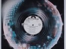 ALTON MCCLAIN & DESTINY Crazy Love POLYDOR 12