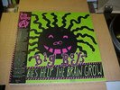 LP:  BIG BOYS - Lullabies Help The Brain Grow SEALED NEW PUNK KBD + download