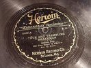 78 RPM AULTON RAY HERWIN 75552 TRUE TREMBLING BRAKEMAN THE DIXIE COWBOY 1927? ?