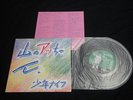 Shonen Knife - Yama-no Attchan 8