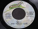 Queen   Keep Yourself Alive / Son and Daughter   Elektra stock 45 7