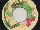 AFRICAN BUSH DIGI ROOTS REGGAE 45 PUBLIC SERVANTS O LOVE DEVINE ?