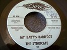 1965 CALIF. GARAGE PUNK--SYNDICATE--MY BABY'S BAREFOOT--DORE 743--PROMO