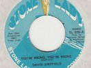 NORTHERN SOUL / RARE SOUL -- DAVID SHEFFIELD  -- YOU'RE WRONG YOUR WRONG