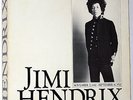 Jimi Hendrix Experience THE JIMI HENDRIX BOX SET (13 lp set) POLYDOR (import)