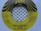 THE BLOWFLYS 45 SOUL FUNK 45  FUNKY IN THE HOLE DASH MIAMI CLARENCE REID HEAR