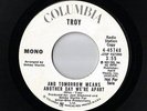 Rare Modern Soul-Troy on Columbia 45748-DJ Copy-And Tomorrow Means/Same- LISTEN