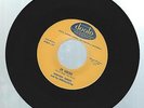 Vernon Green and the Medallions 59 Volvo / Magic Mountain Dooto 446 1958 OrigRel