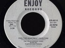 Rap 45   Treacherous Three   Feel The Heartbeat   Enjoy   mp3 VG++