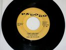 RARE MICHIGAN GARAGE PSYCH 45 COUNT AND THE COLONY-CAN'T YOU SEE? PA GO GO HEAR