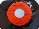 HEAR Rare Garage Rock 45: Lenny Frank and the Rhythm Rockers   Solitary Man