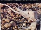 ROMAN SCHWALLER QUARTET-ORIGINAL STEREO LP, DON FRIEDMAN, MARC JOHNSON