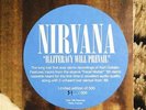 NIRVANA Illiteracy Will Prevail LP VERY RARE Low #31 BLUE SWIRL Kurt Cobain NEW