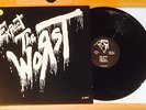 The WORST Expect the Worst lp Chronic Sick NJHC Mutha records KBD the Burnt