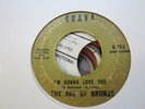 Northern Soul 45 THE AGE OF BRONZE i’m gonna love you GUAVA listen 