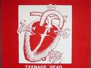 The Deep Freeze Mice - Teenage Head in My Refrigerator L.P.