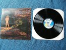 **RARE PROG** BIG SLEEP Vinyl LP Bluebell Wood Pegasus 1971