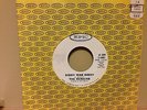 THE REMAINS, PSYCH PROMO 45, DIDDY WAH DIDDY, EPIC # 5-10001, 1960, NM