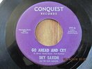 SEEDS REL 45 ;GR8 TEEN GROUP ROCKER ; SKY SAXON; THEY SAY/ GO AHEAD AND CRY