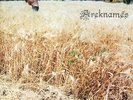 Areknamés:  