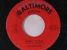 TAN BEETLES: Hobo Walk / Skid Row 45 Rock & Pop