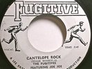 JOE JOE BENNETT & THE FUGITIVES-THE LECTURE/CANTELOPE ROCK-FUGITIVE-1967-7
