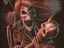 iron maiden . maiden live picture disc