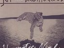 Jeff The Brotherhood - Hypnotic Nights  White Vinyl [Vinyl New]