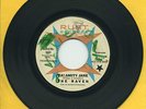 THE RAVEN   Calamity Jane   MONSTER garage/fuzz/psych 45 RUST 5123