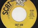 ZZ TOP - Salt Lick - Their FIRST 45 on SCAT Records