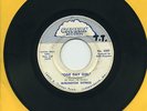 BURLINGTON EXPRESS   One Day Girl/Memories   fuzz/garage/psych 45 CAVERN 2207