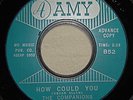 THE COMPANIONS No Fool Am I/How Could You ORIGINAL 1962 AMY 852 PROMO NM Doo Wop