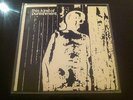 This Kind of Punishment - S/T LP FLYING NUN RECORDS SUPER RARE