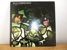 Jellybread Back To Begin Again Very Rare 1972 Blue Horizon Original Blues LP VG.