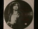 LED ZEPPELIN White Summer - Limited Live Pic Disc - LP Vinyl - Not TMOQ TAKRL