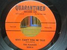 THE PLAGUES, Why Can't You Be True? FENTON MI Garage PUNK 45 Through This World