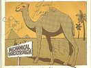 MECHANICAL HORSETROUGH-NEVER STAND BEHIND A CAMEL 7