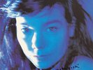 NOBUYOSHI ARAKI HANDSIGNIERTES COVER ARTWORK VINYL LP BJÖRK VP: 150,-€