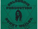 BUNNY WAILER Rise And Shine RARE roots dub UK 45 Riding with ps ROUGH TRADE HEAR