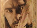 CRANIUM'S Roy Harper BULLINAMINGVASE orig Uk Lp NM Andy Roberts