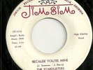 DOOWOP TEEN GIRL GROUP 45 by THE STARDUSTERS HEAR CLIP