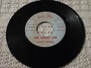JERRY RAINES OUR TEENAGE LOVE/DANGEROUS REDHEAD DREW-BLAN 1001