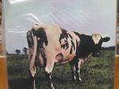 MFSL Pink Floyd 