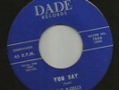 ROCKABILLY--R-DELLS-- TWO GUITAR ROCKERS -HEAR BOTH- 1960 FLORIDA DADE