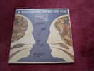Bombay Bicycle Club - A Different Kind of Fix   Vinyl Album